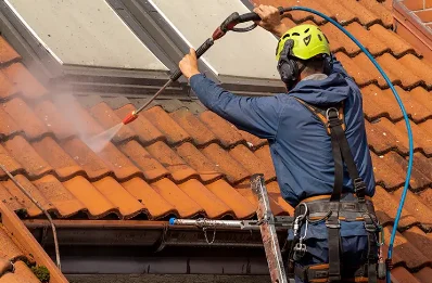 Démoussage et hydrofuge de toiture à Sainte-Radégonde-des-Noyers